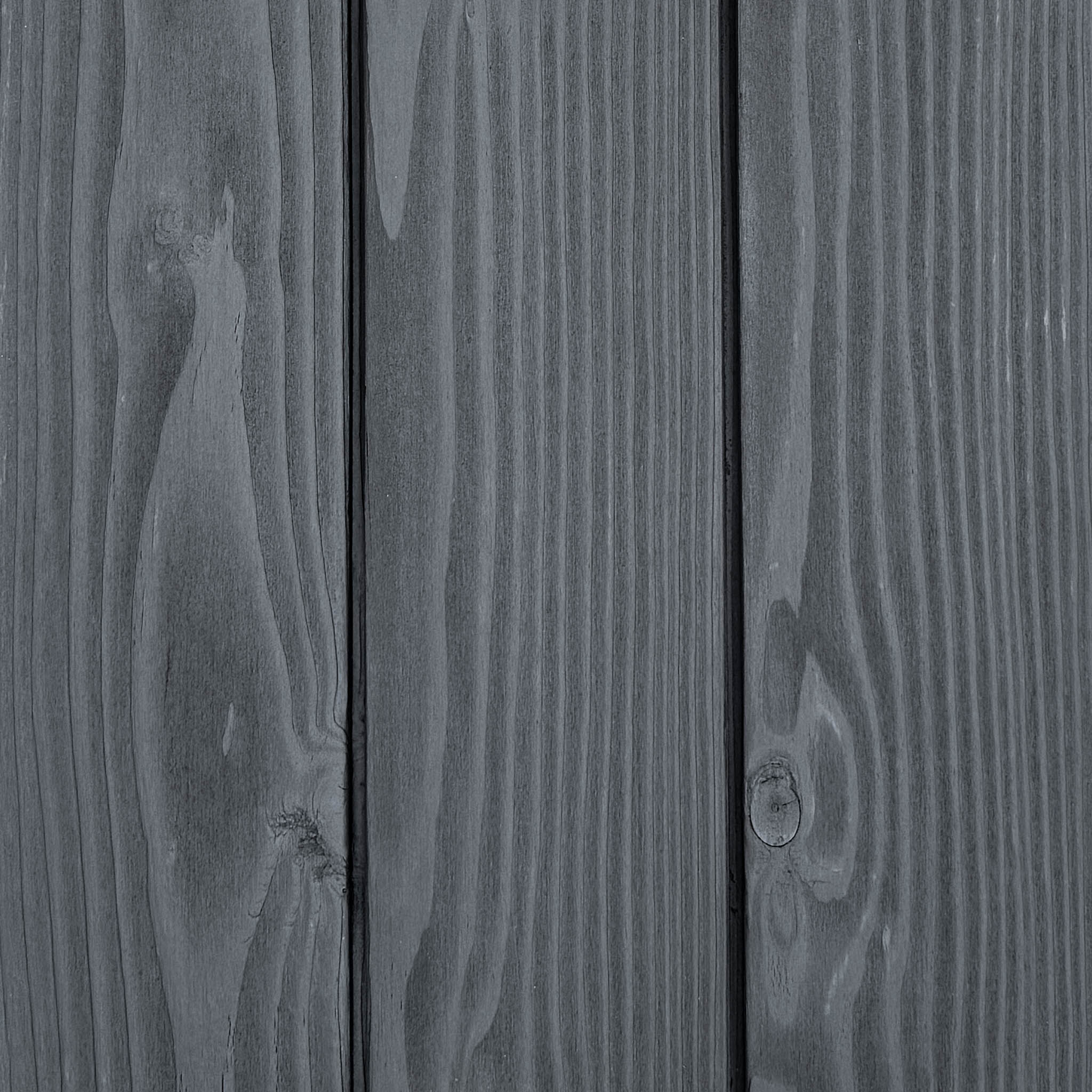 Anthracite Douglas Fir - Image 2