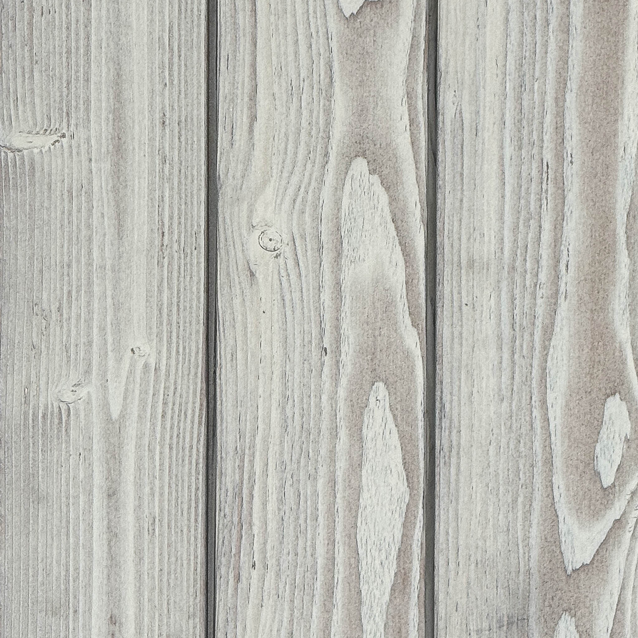 White Douglas fir - Image 2