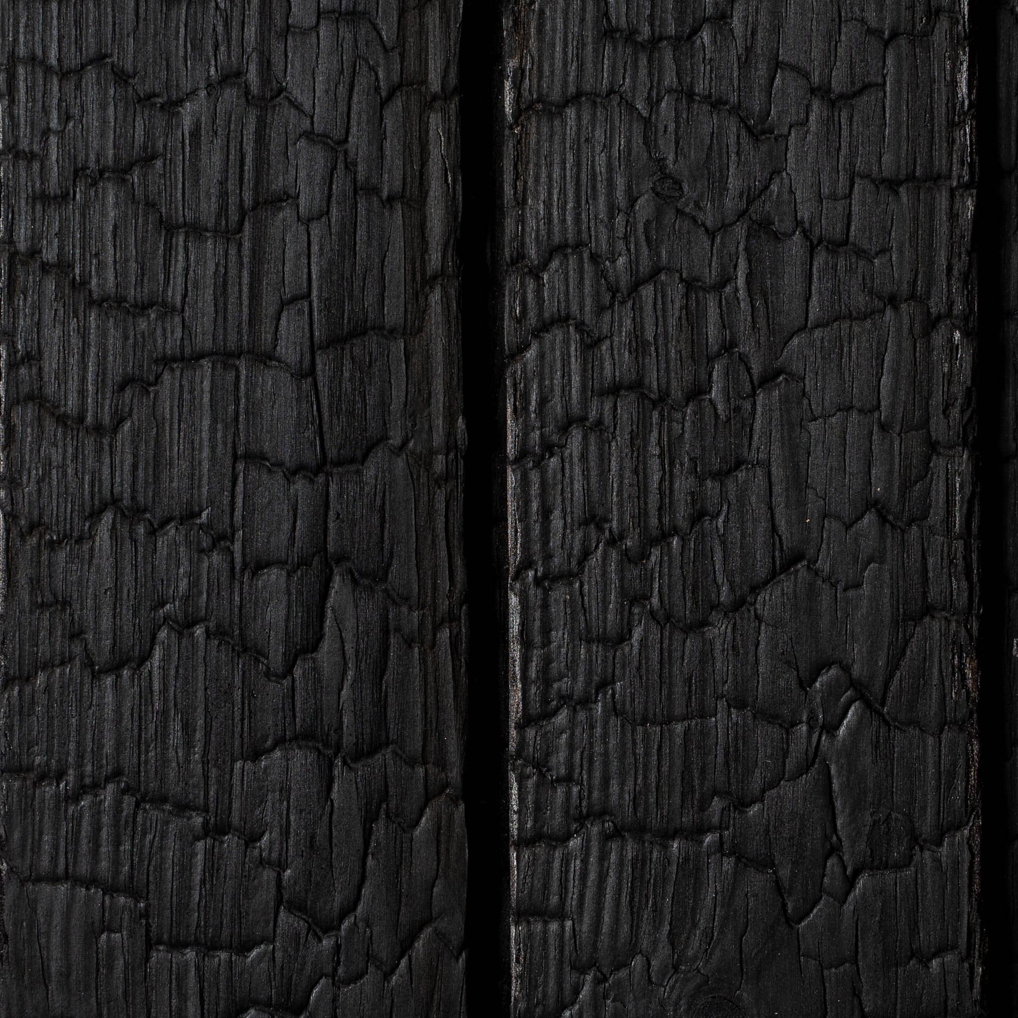 Carbon Spruce - Image 2