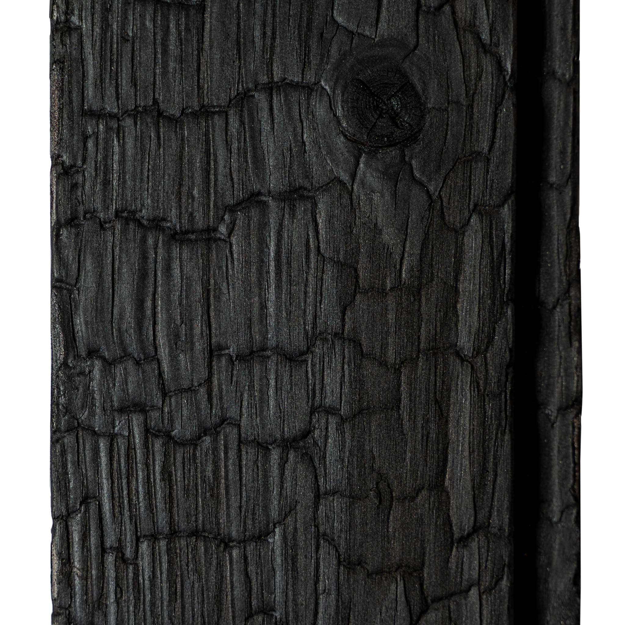 Carbon Spruce - Image 3