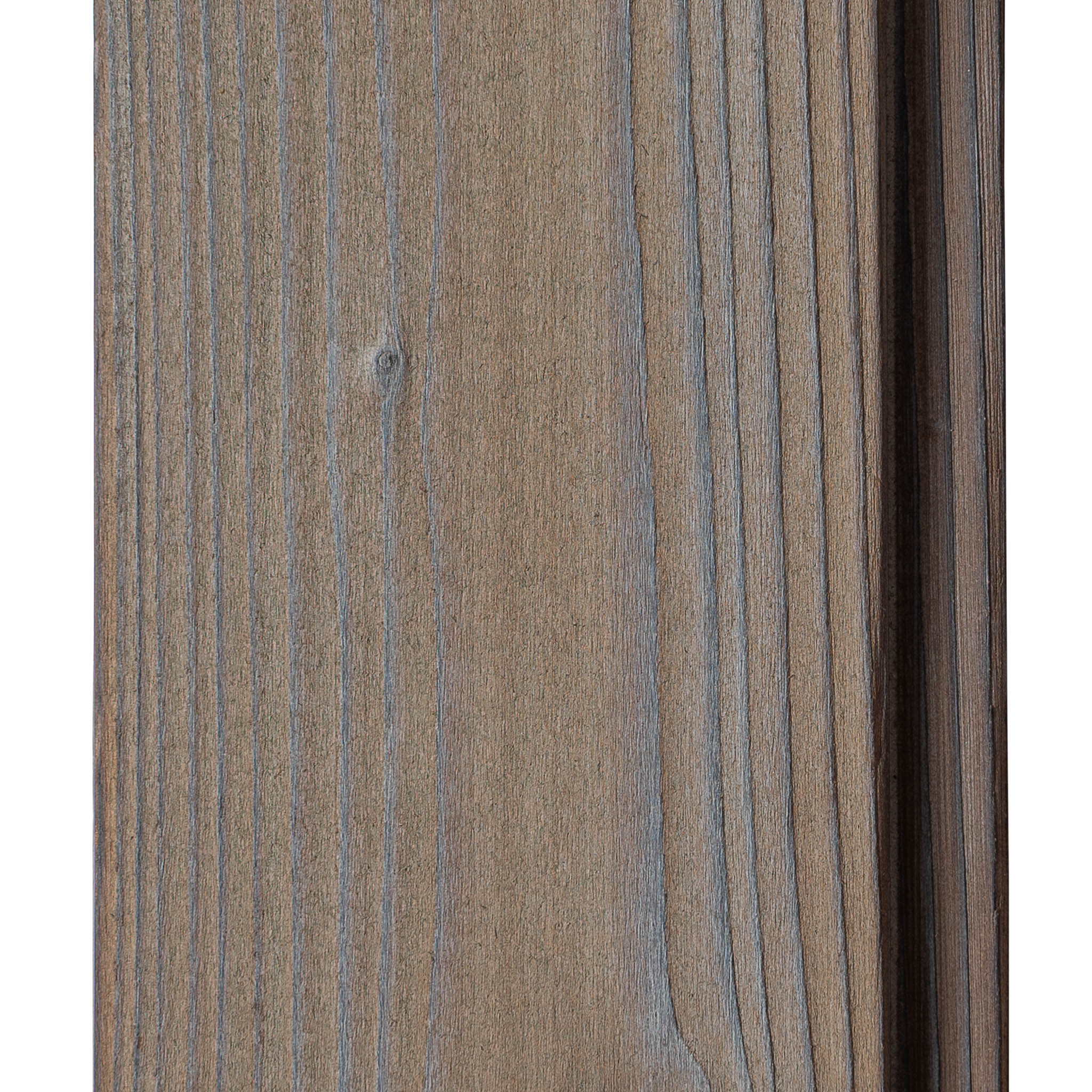 Clay grey Spruce - Image 3