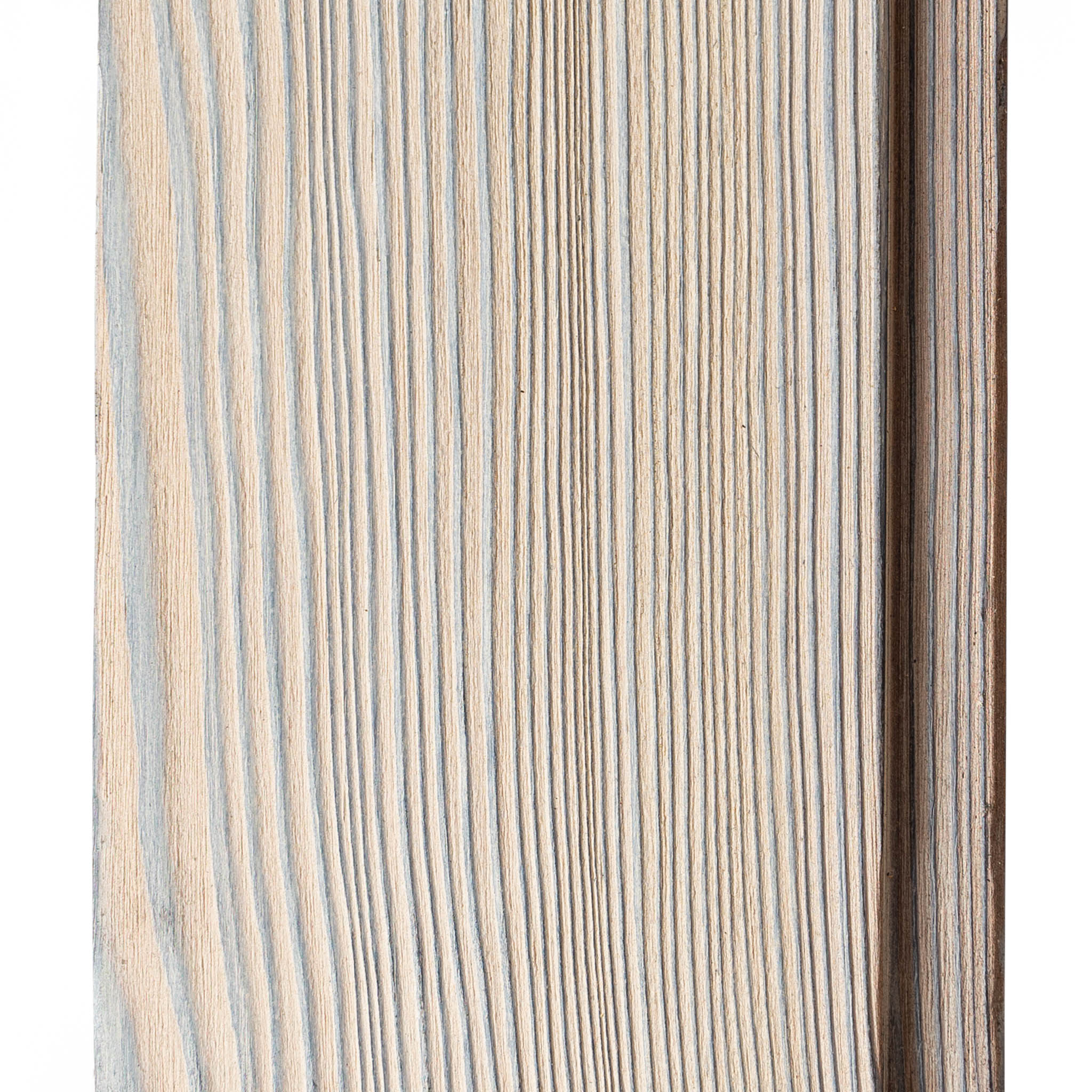 White Larch - Image 3