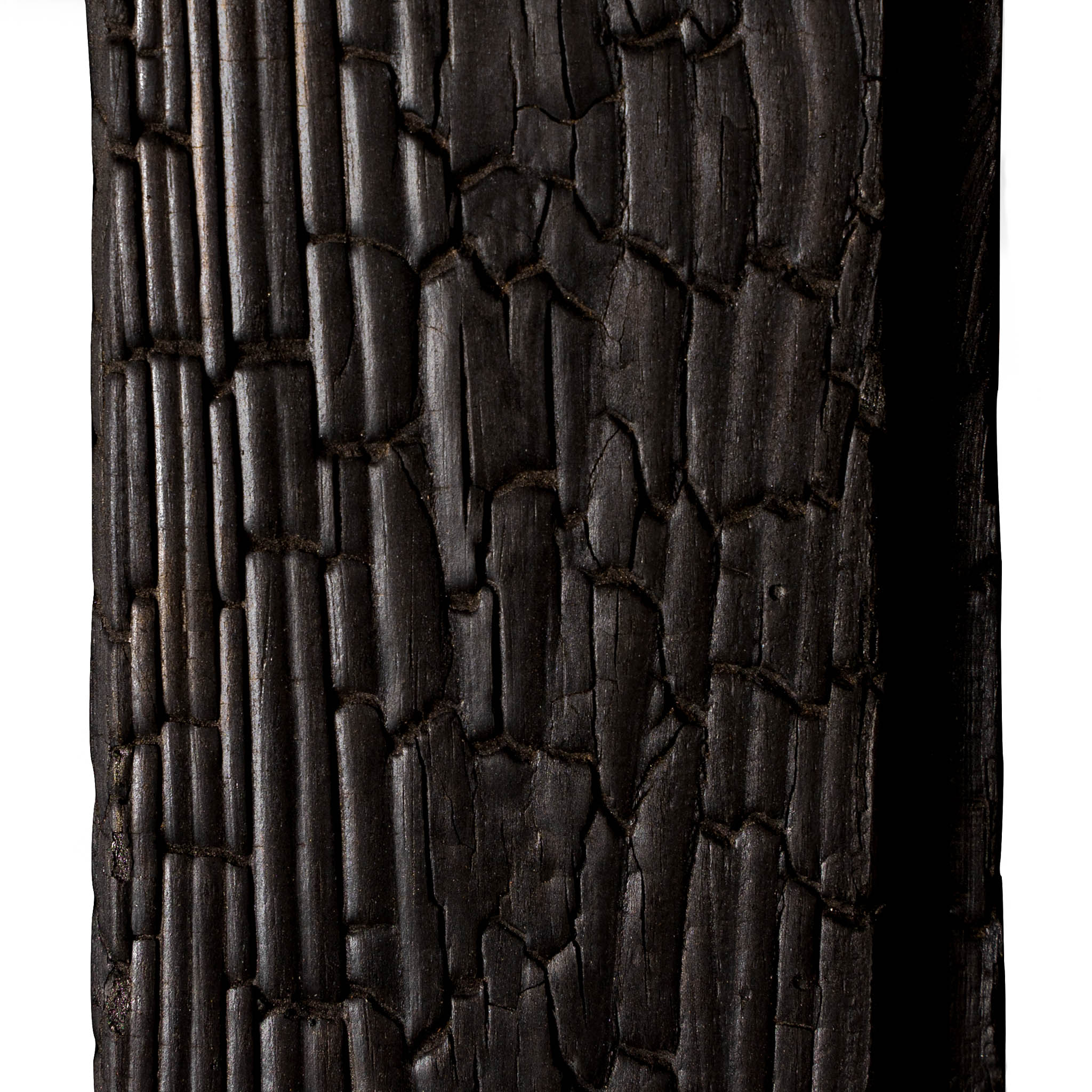 Carbon Thermo pine - Image 3